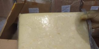 Disertifikasi Karantina Pertanian Tanjung Priok, 19 Ton Durian Pasta Beku Diekspor Ke Tiongkok